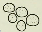 Pasted image 20230311171507.png